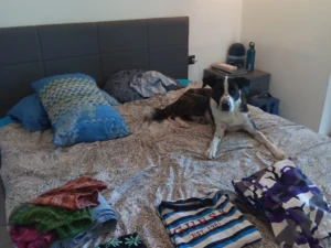 454738556 906621734842758 97259214372581855 n