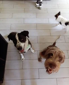 454745613 906621568176108 2649649584733106534 n