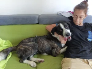 454748673 906621521509446 6777019693293674576 n