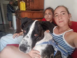 454763161 906621801509418 3299840718373747146 n