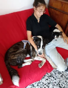 454893407 906621768176088 4499803439212174319 n