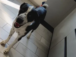 454957696 906621618176103 2216311476998840761 n