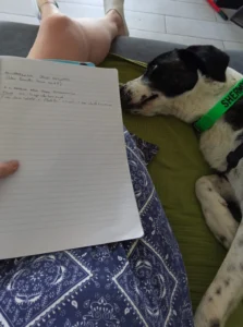 455011721 906622118176053 4418745046892408311 n