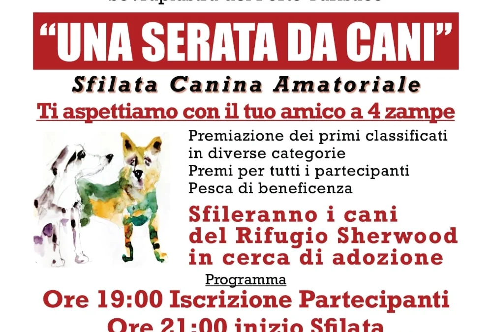 Una sfilata da cani