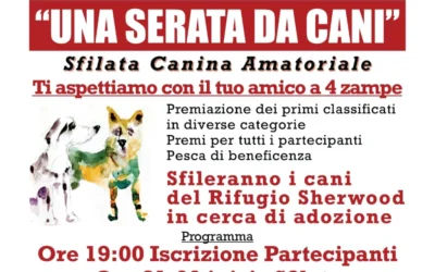 Una sfilata da cani