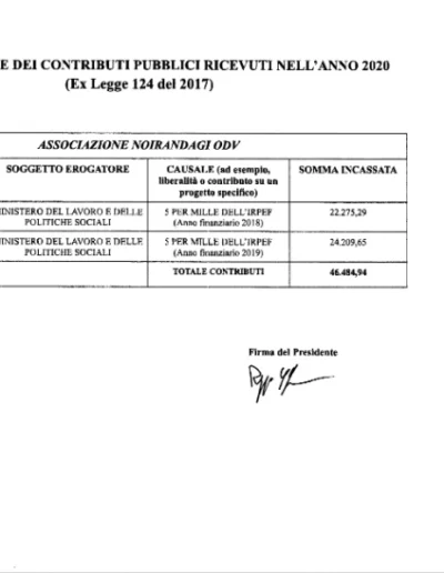 9 Rendiconti 5x1000 1