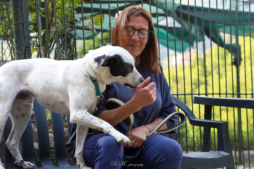 Volontaria seduta con cane