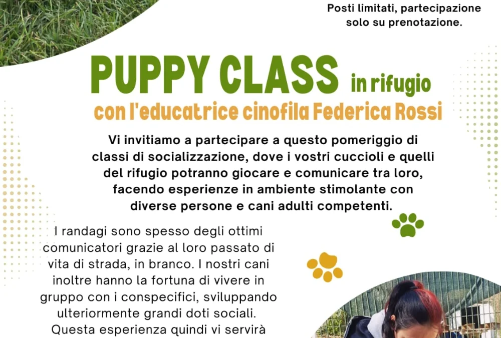 Puppy Class in rifugio