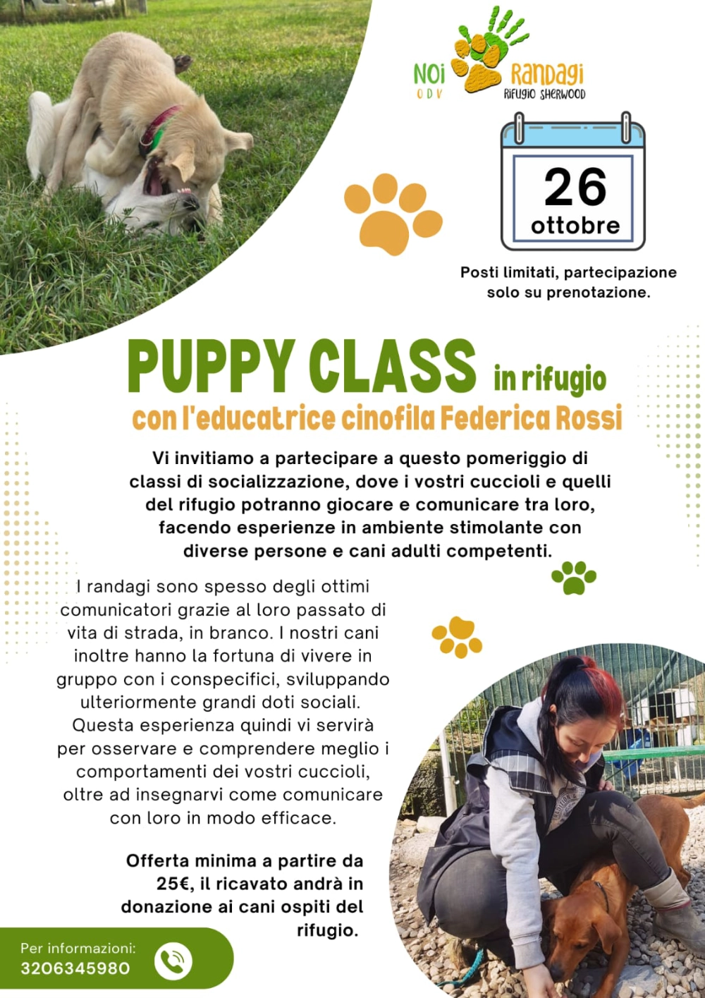 Puppy Class in rifugio