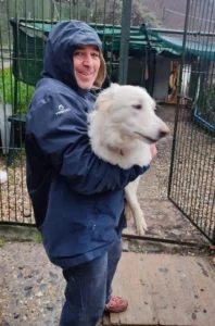 Volontario con cane in braccio Volontario con cane in braccio