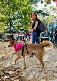 Il volontariato 2 Volontario con cane in braccio