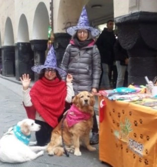 Il volontariato 4 Volontario con cane in braccio