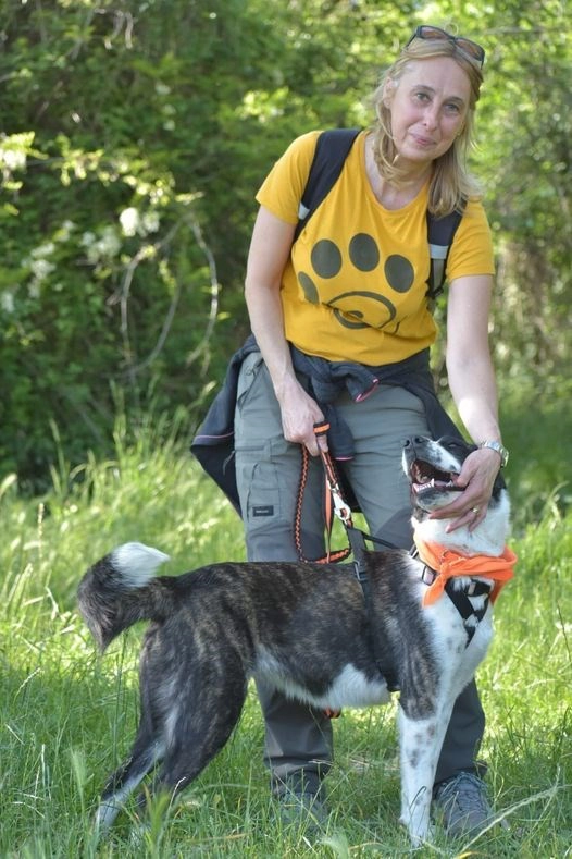 Il volontariato 5 Volontario con cane in braccio