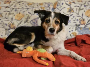 Tommy e il suo pupazzino