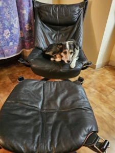 Tommy sulla poltrona