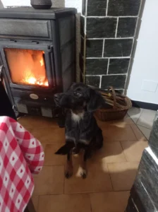 Vega davanti al camino