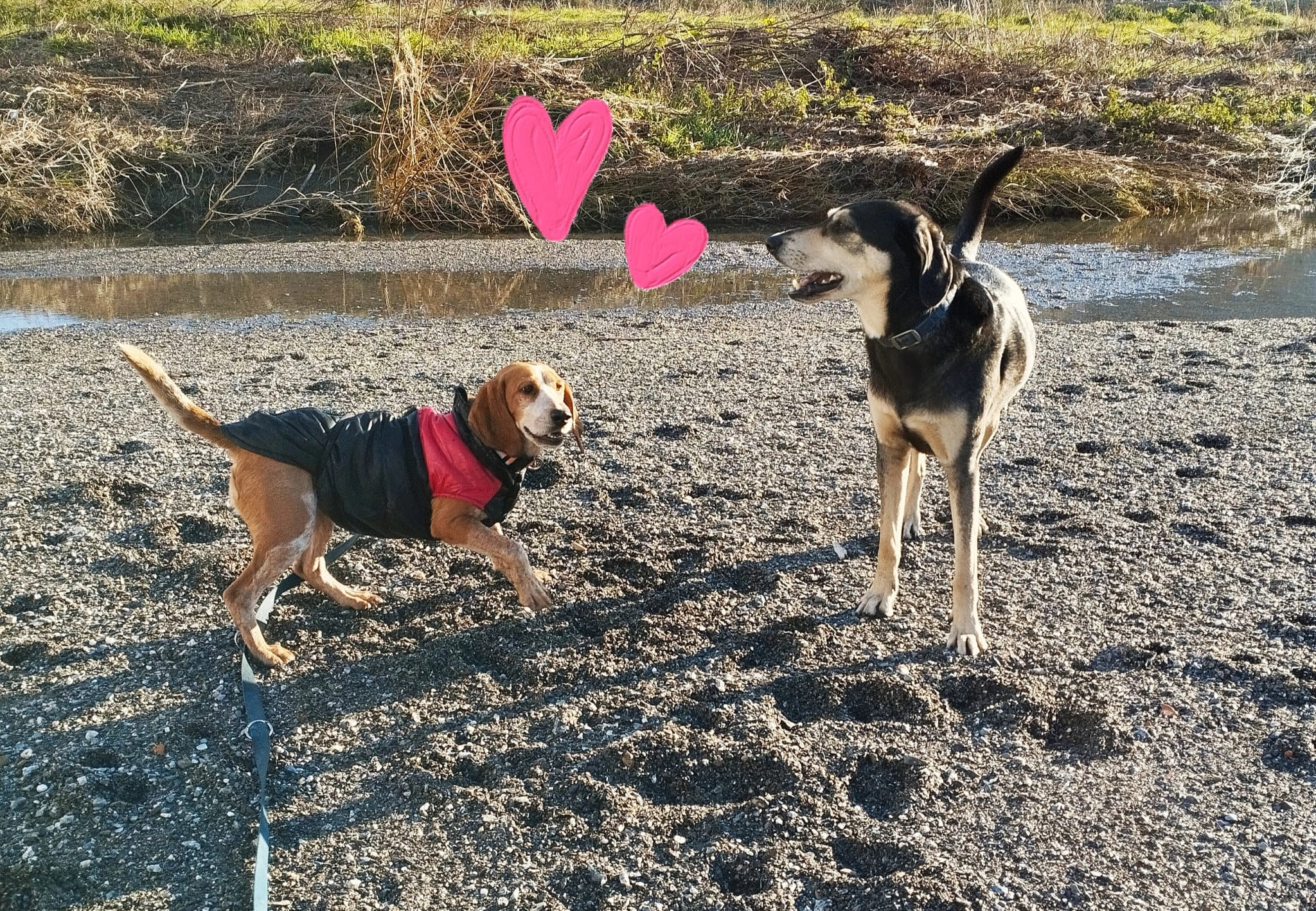 Cecile e Romeo che giocano