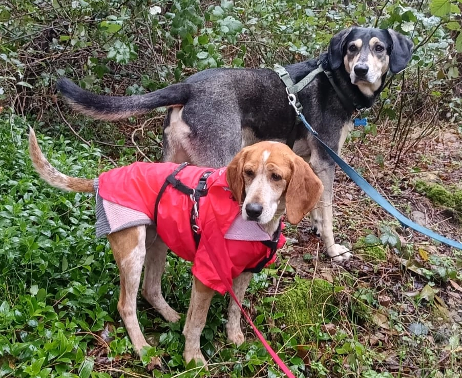Cecile e Romeo in passeggiata