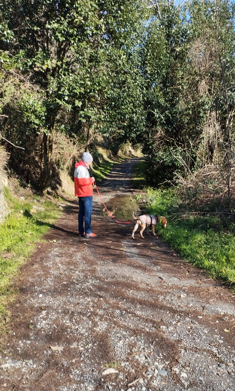 Cecile in passeggiata nel bosco