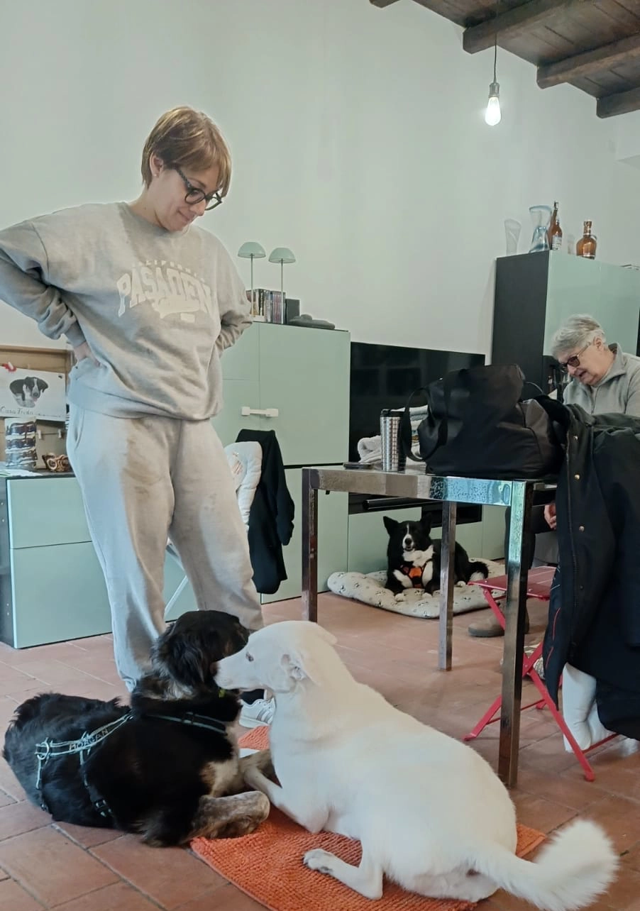 478714398 1058850962953167 1472432764603896463 n