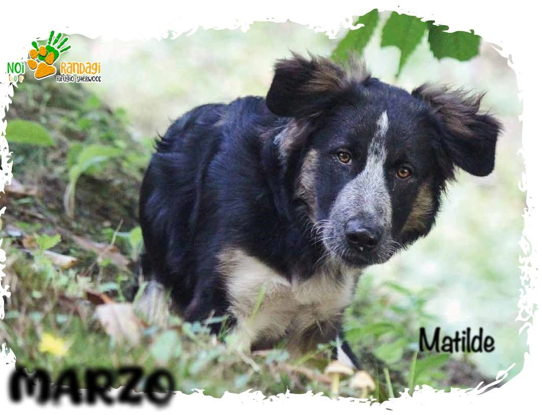 480470379 1058849126286684 4762266033650026402 n