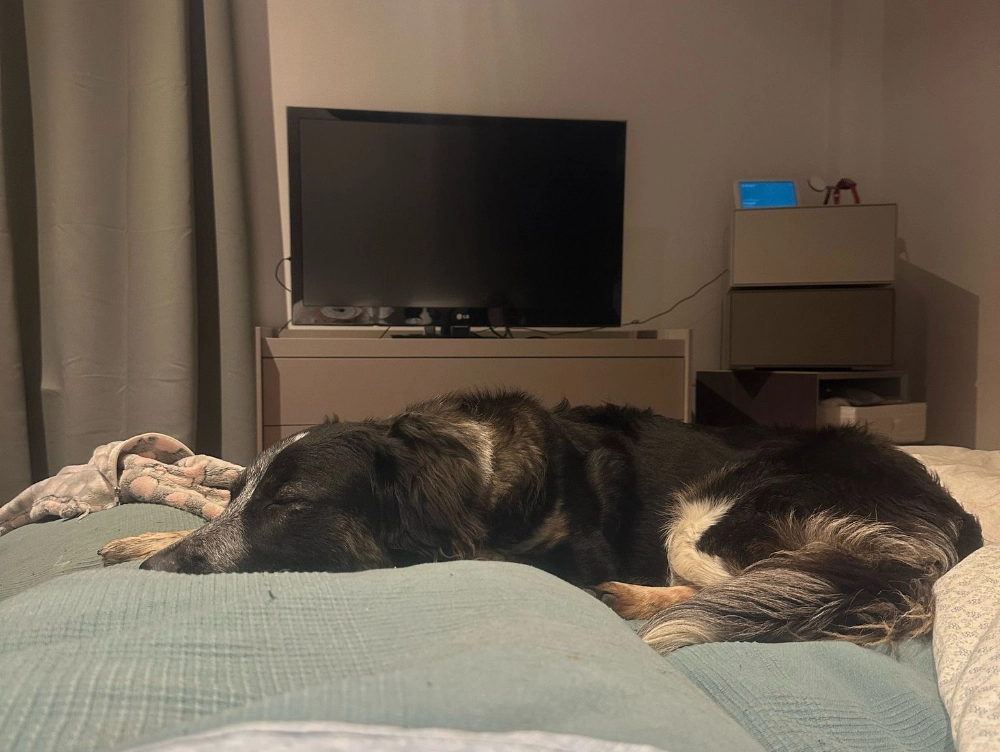 Matilde sul letto Matilde sul letto