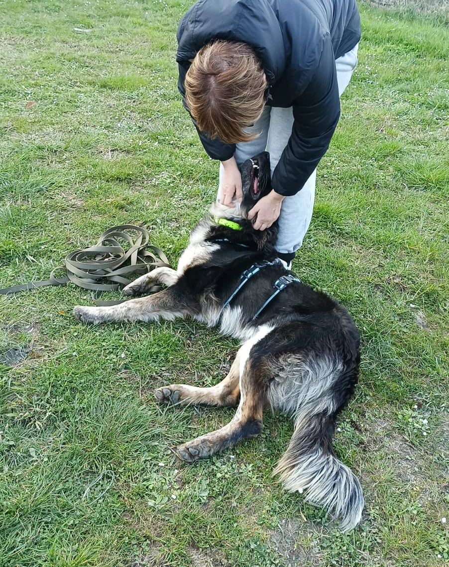 480822362 1058850562953207 2991148775909965426 n