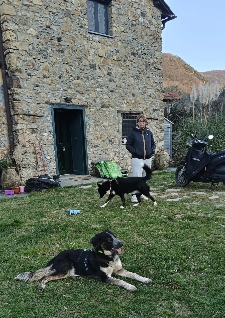 480881195 1058850799619850 1699263691508565034 n