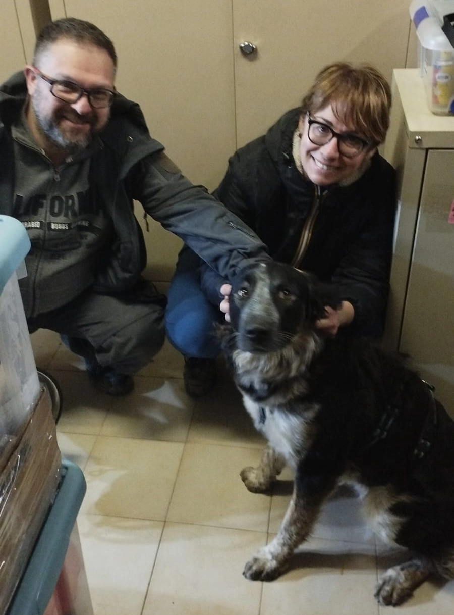 480939938 1058849459619984 5790581258862383942 n