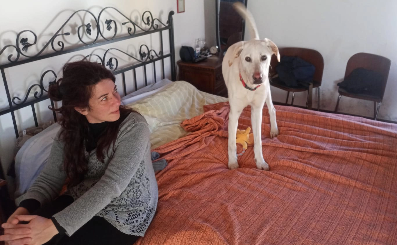 481273233 1053489166822680 4729194217946637971 n