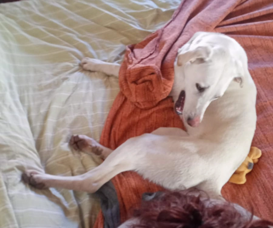 481328013 1053489333489330 809262442027790845 n