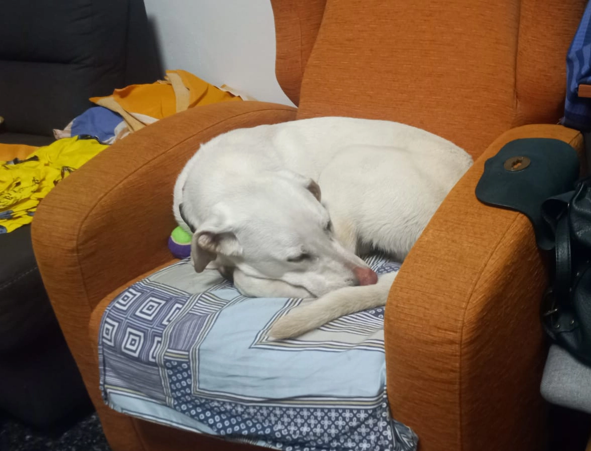 482215979 1053489520155978 6321764509713474613 n