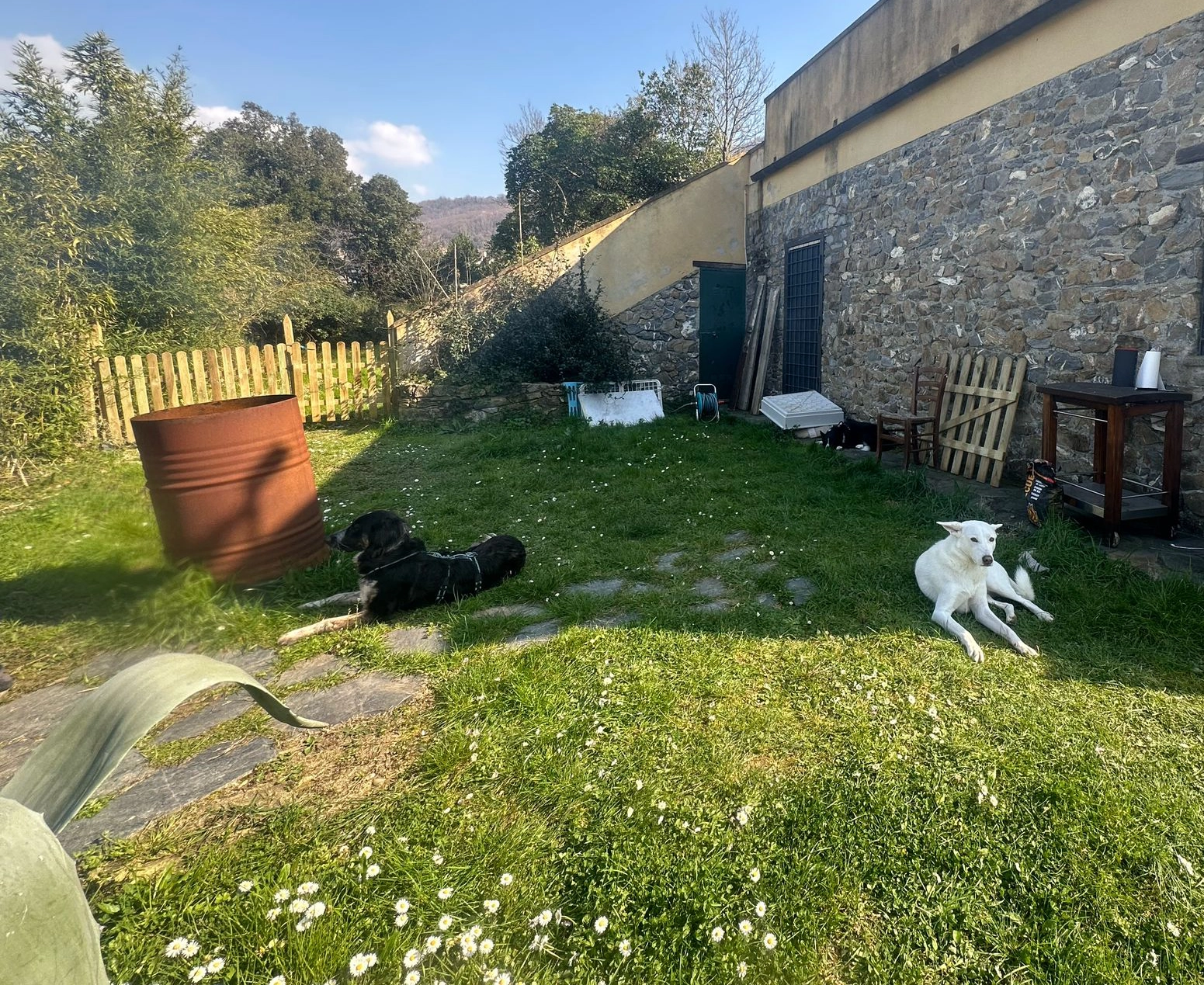 482986247 1058850436286553 7910547766189775440 n