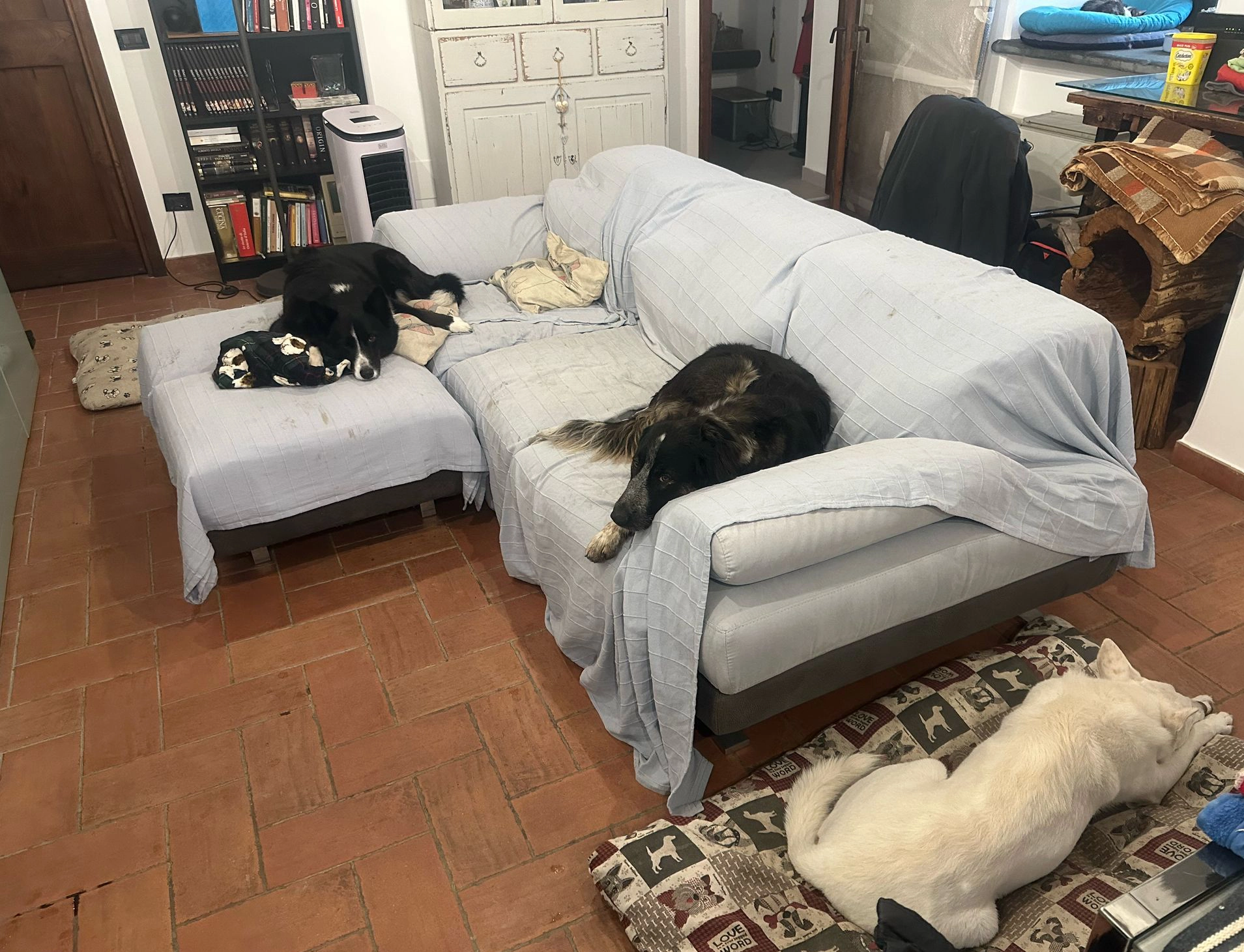 482987833 1058849866286610 6923812800288353089 n