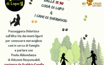 Passeggiata cinofila didattica con Paola Abbondanza