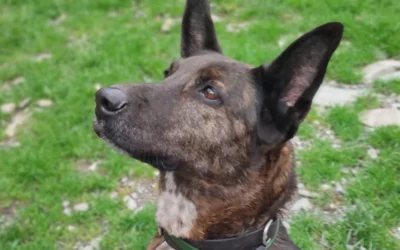 Primo piano di Nanà