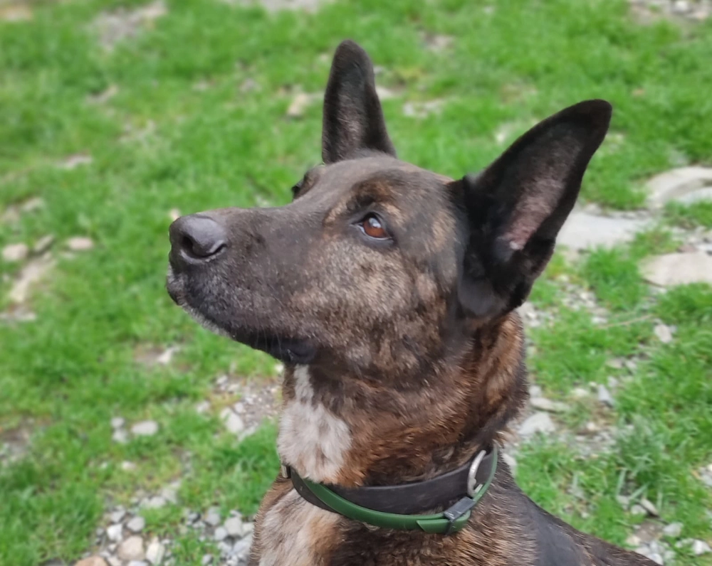 Primo piano di Nanà Primo piano di Nanà