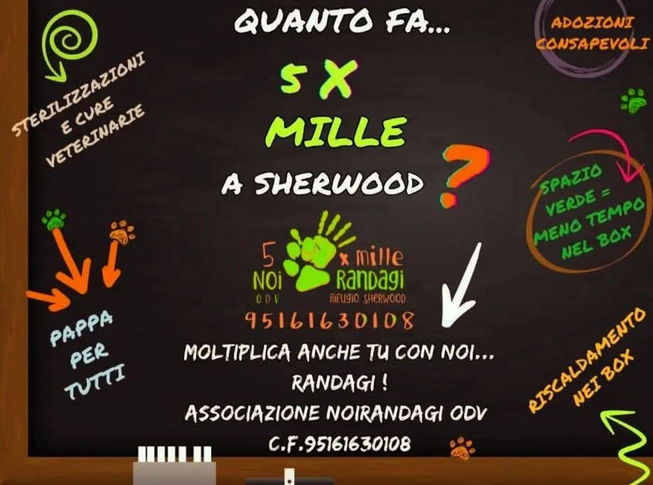 5xmille 2025 5xmille 2025