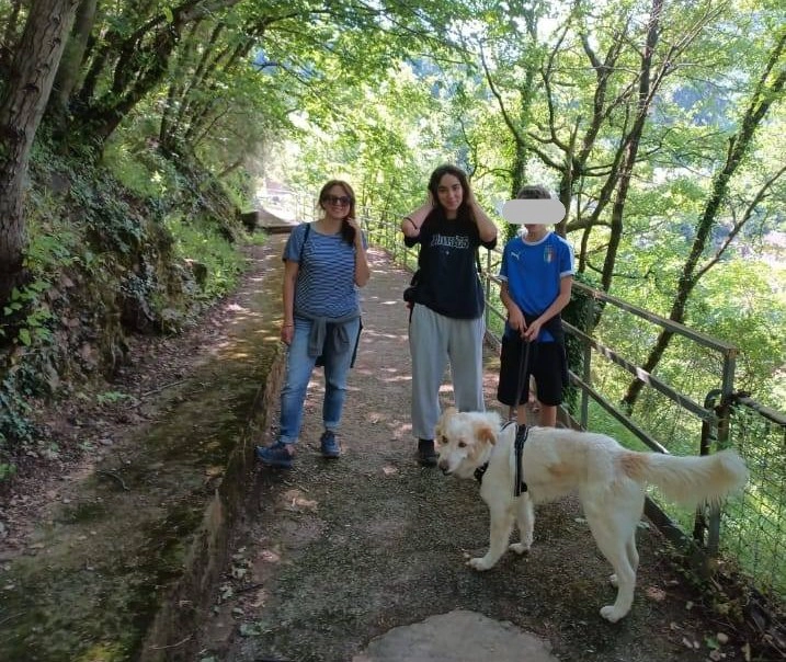 Tobia in passeggiata