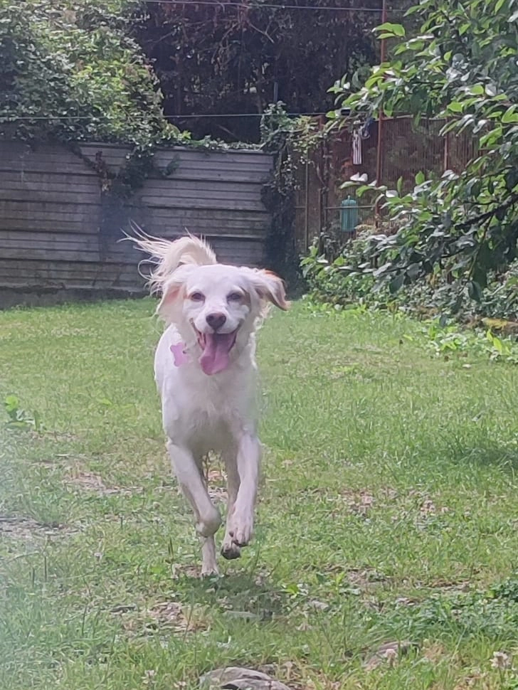 448901143 876440114527587 941008549559937164 n