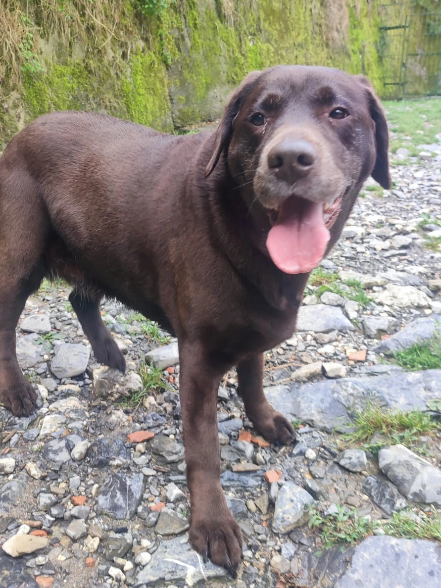 448924539 876385627866369 41766174270683423 n