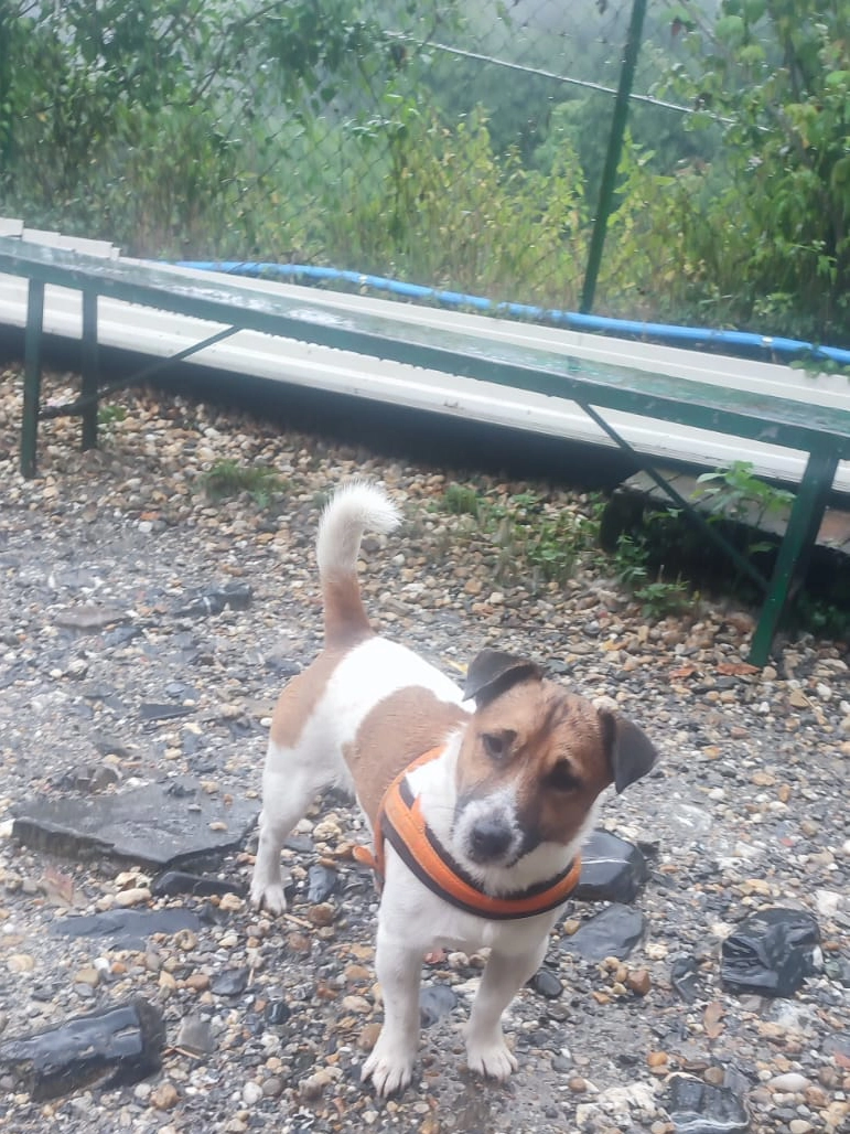 448924977 876385774533021 4489468528519624548 n