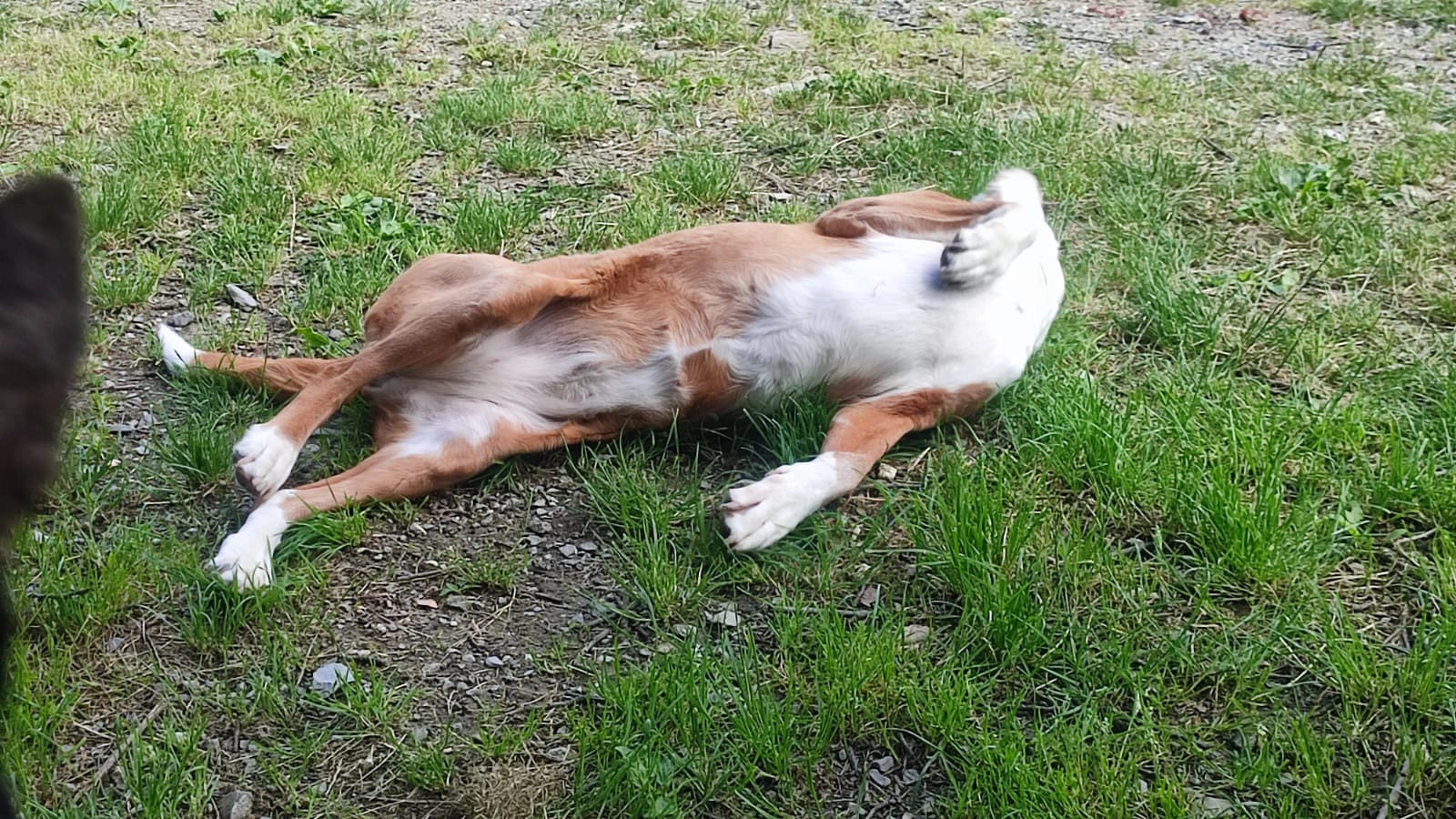 Immagine WhatsApp 2025 07 16 ore 20.49.25 1e816ddd