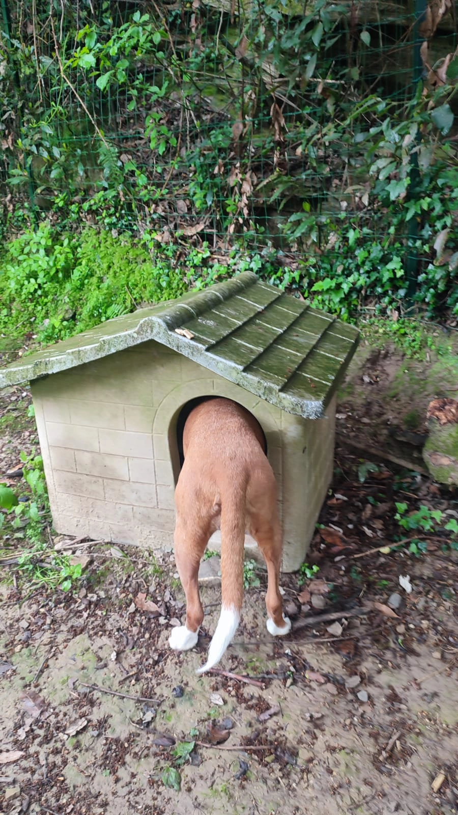 Immagine WhatsApp 2025 07 16 ore 20.49.25 f7eac045