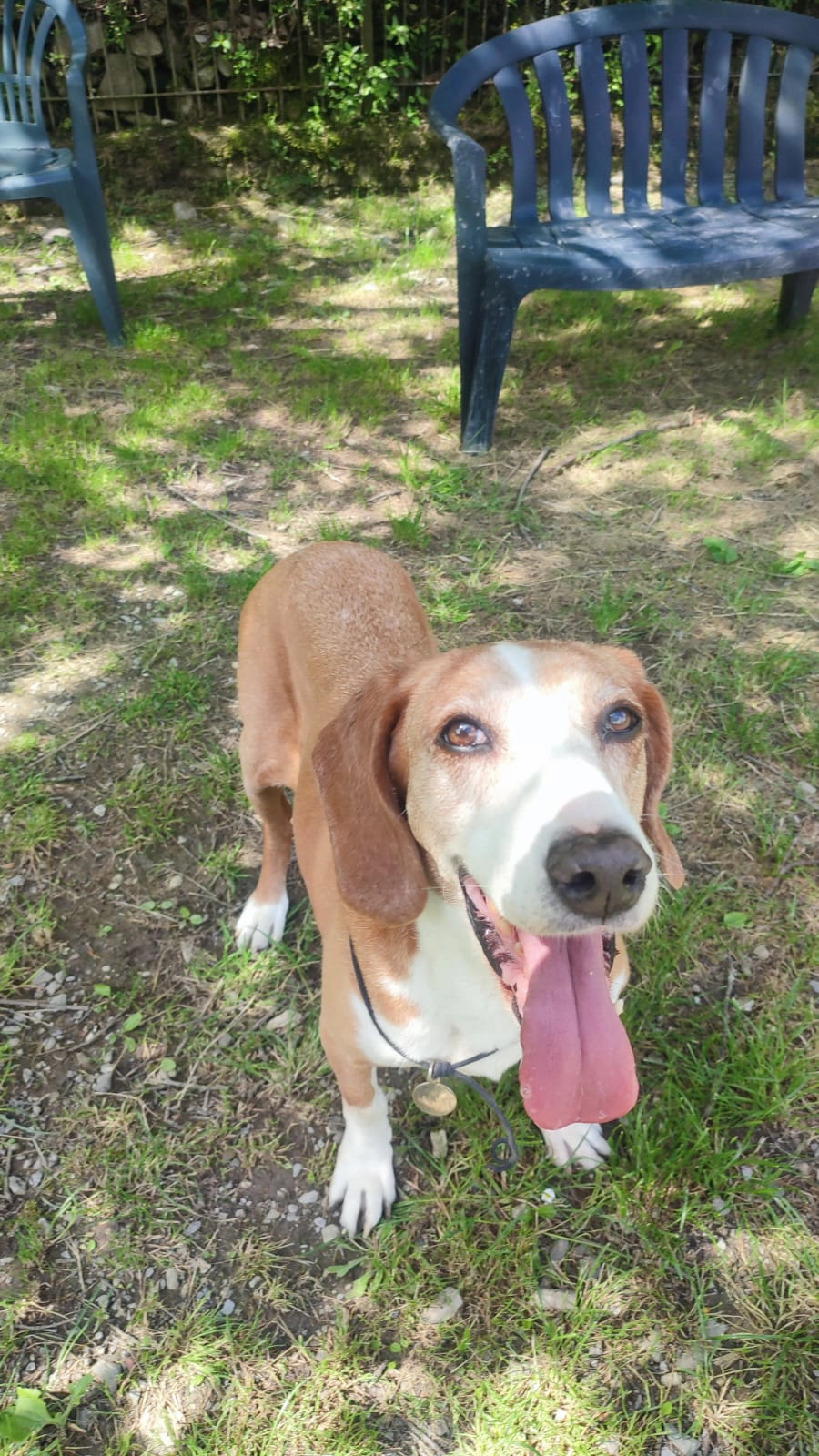 Immagine WhatsApp 2025 07 16 ore 20.49.26 cf7c6784