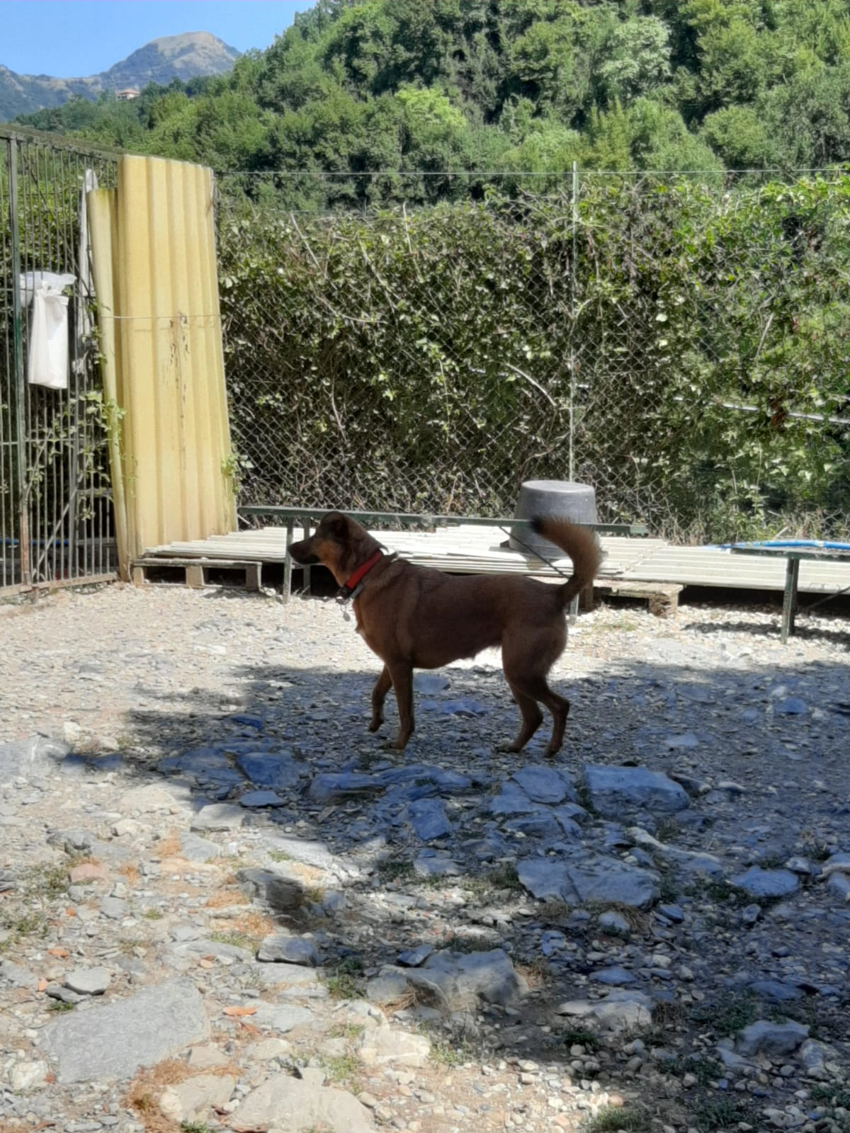 Immagine WhatsApp 2025 07 16 ore 20.50.41 5487761e