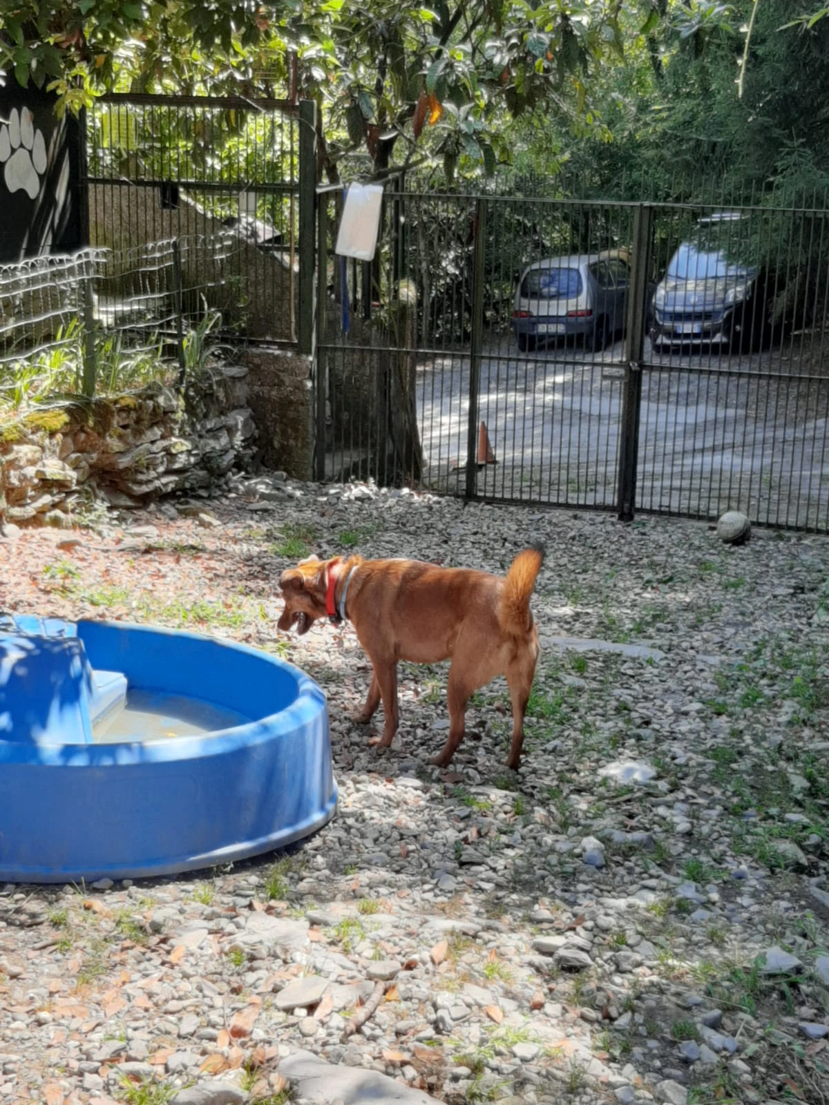 Immagine WhatsApp 2025 07 16 ore 20.50.41 570b6f77