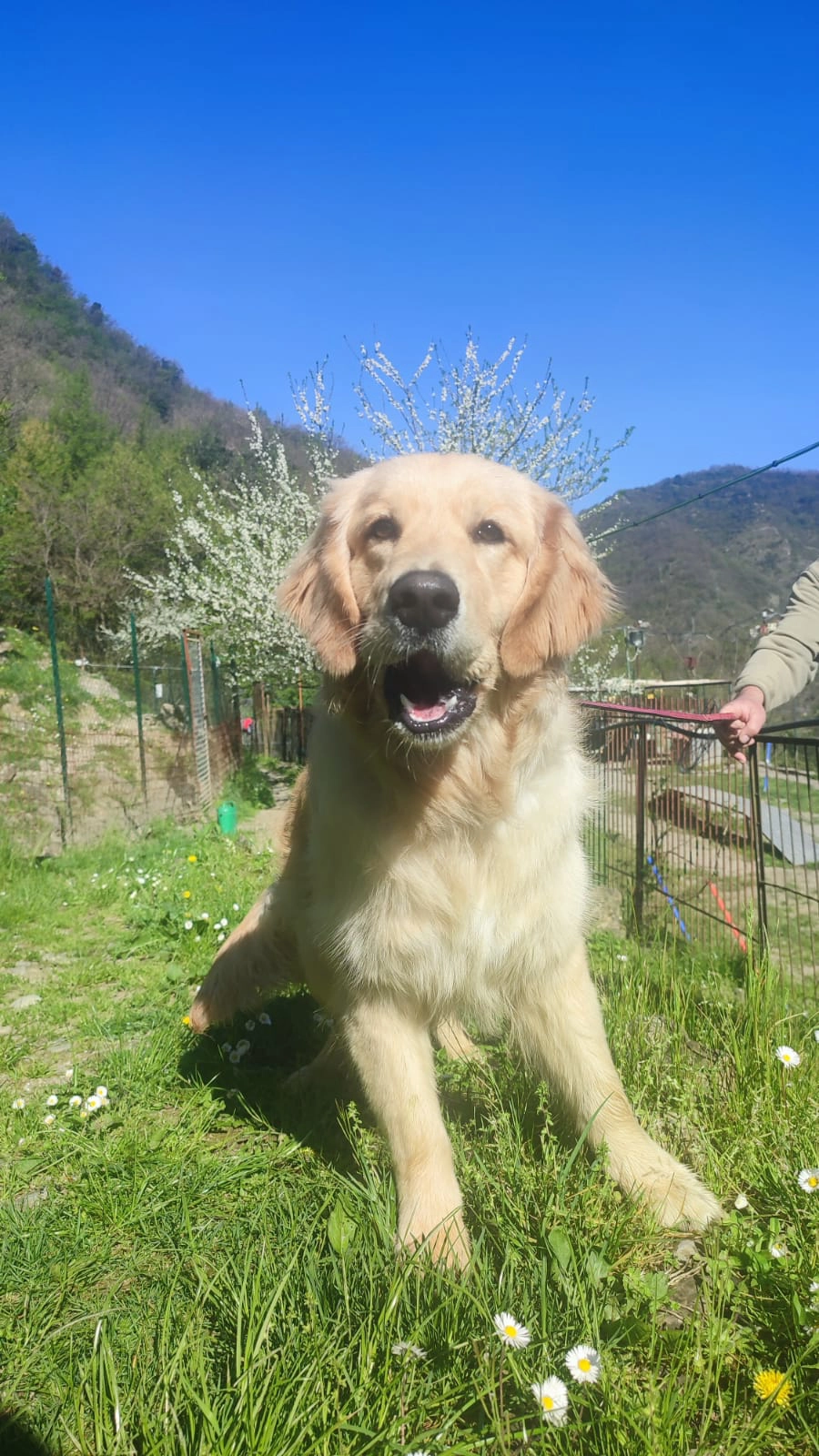 Immagine WhatsApp 2025 07 16 ore 20.50.41 f60a2d4e