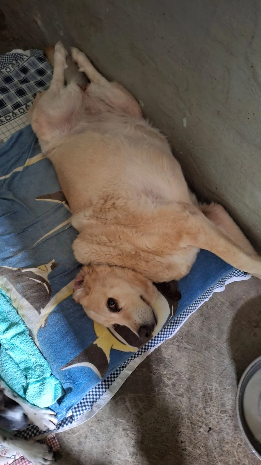 Immagine WhatsApp 2025 07 16 ore 20.50.42 1d72f05a