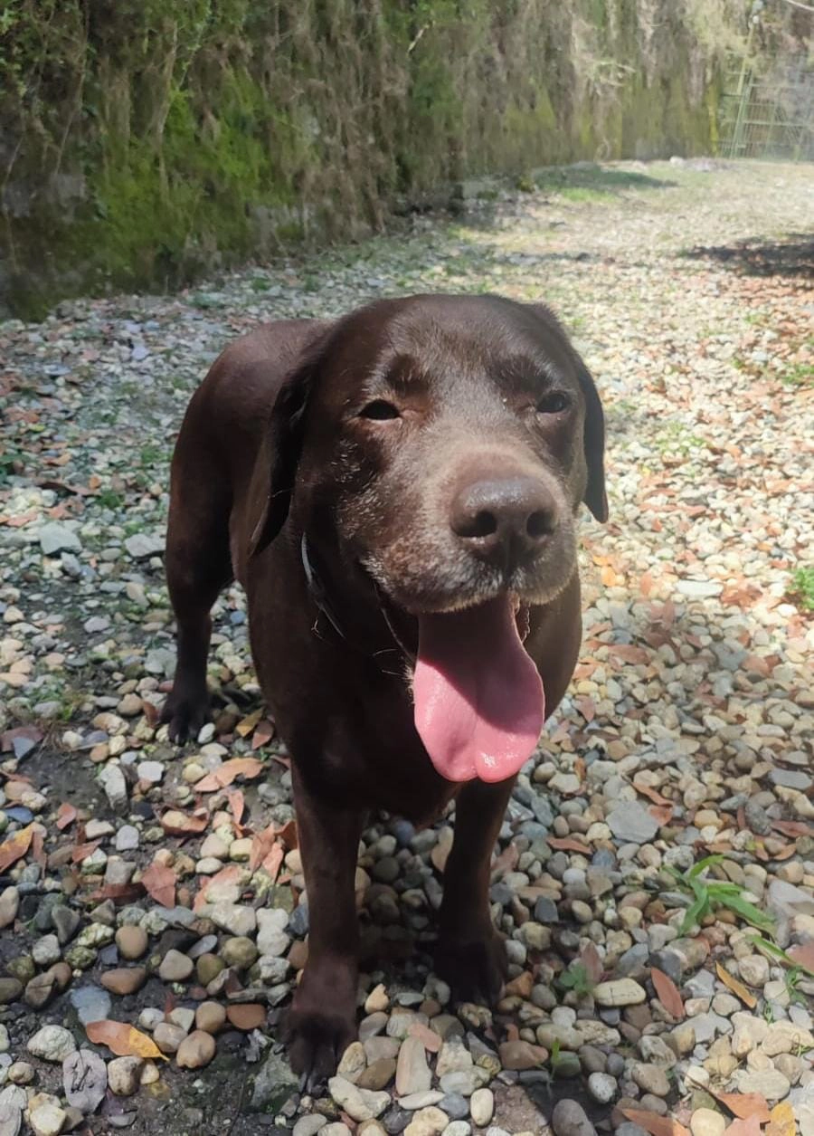 Immagine WhatsApp 2025 07 16 ore 20.51.19 09833e16